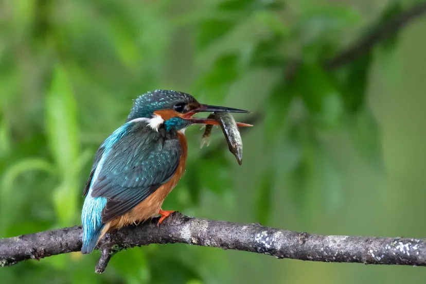 screenshot 20220716 101820