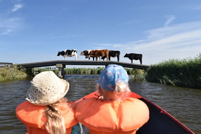 screenshot 20220721 100358