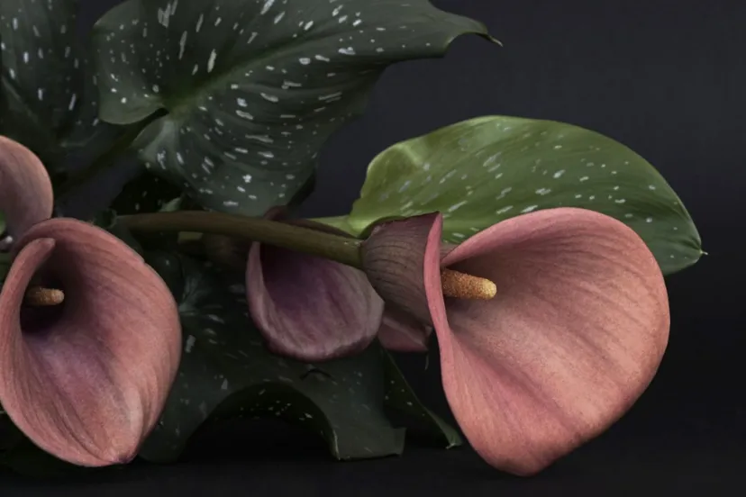 screenshot 20220723 145733