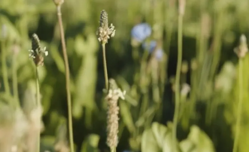 screenshot 20220731 071652