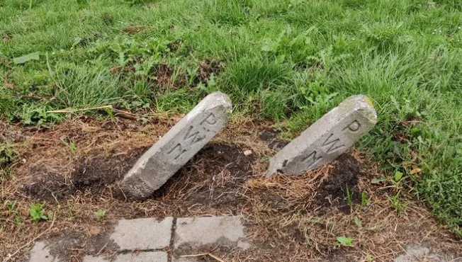 screenshot 20220802 150419