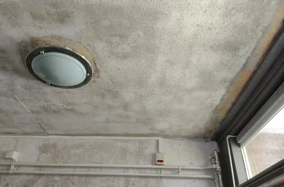 screenshot 20220802 173720