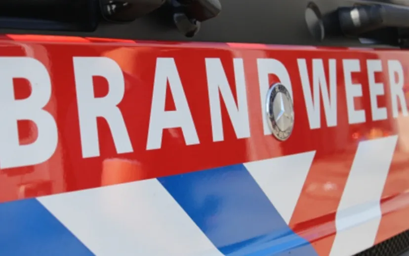 screenshot 20220803 121019 915x518 1 915x518 1 915x518 1 915x518 1 915x518 1 915x518 1