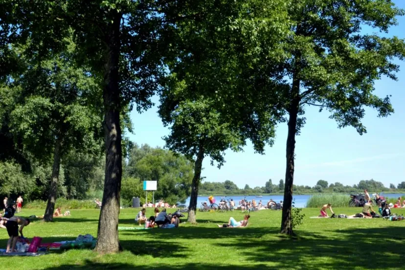 screenshot 20220806 105909