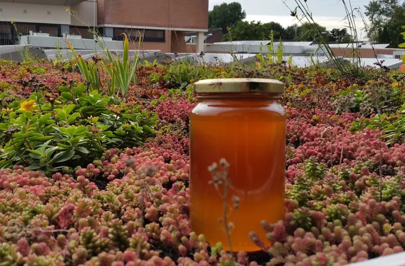 screenshot 20220807 084956