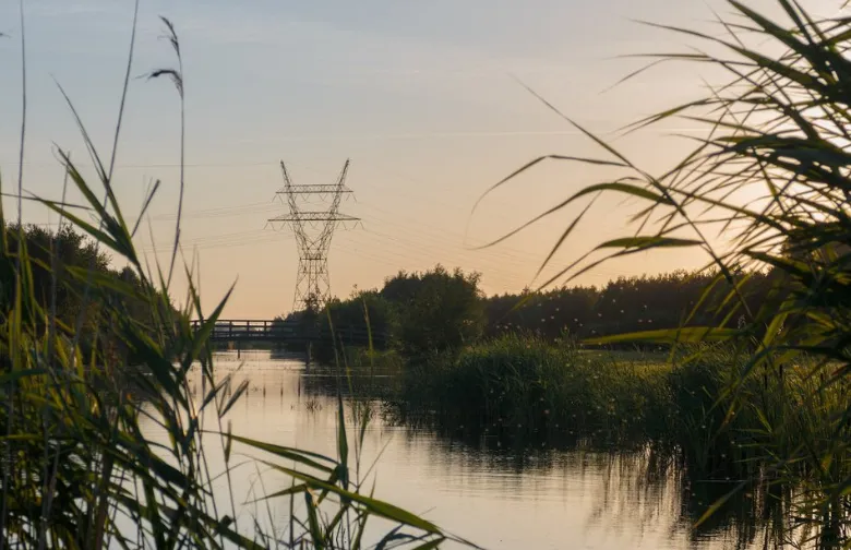 screenshot 20220808 180239