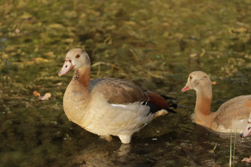 screenshot 20220809 125302