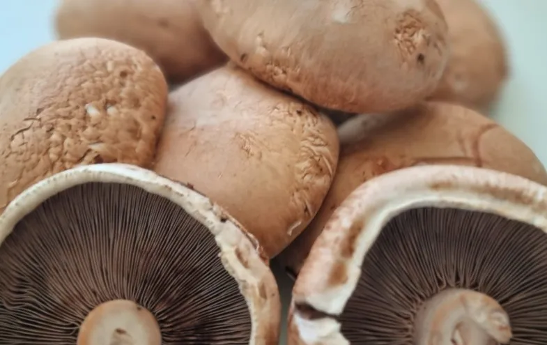 screenshot 20220809 164107