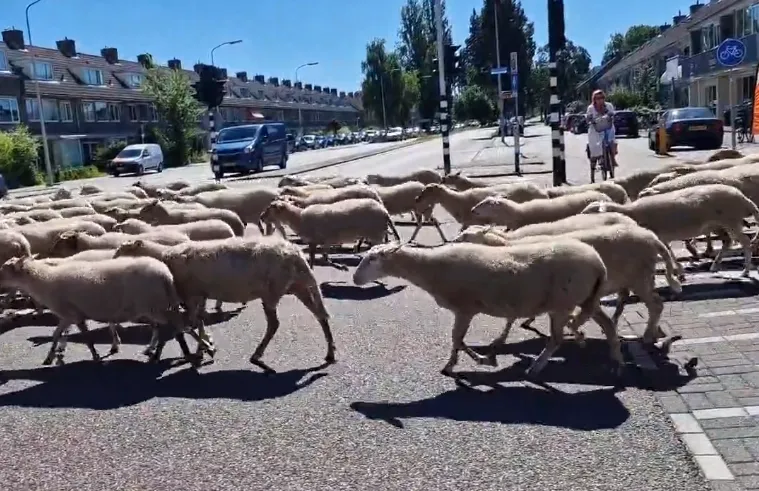 screenshot 20220809 171832