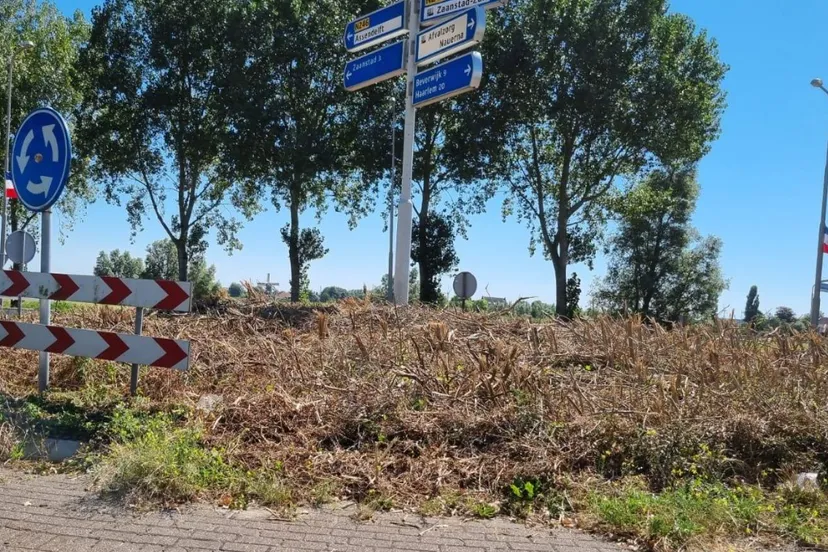 screenshot 20220815 083650