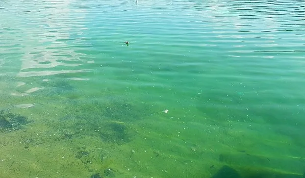 screenshot 20220816 092426