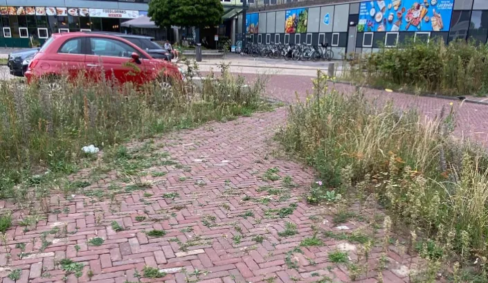 screenshot 20220826 135241