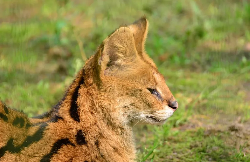 screenshot 20220904 100204