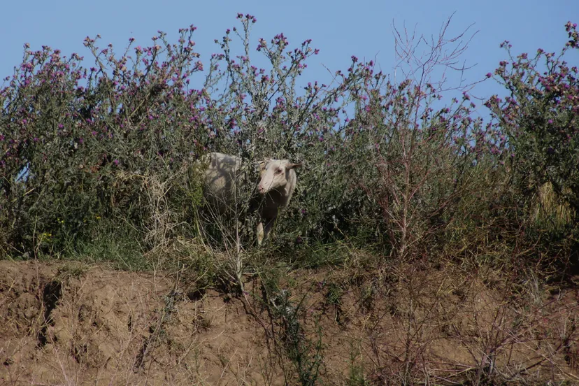 screenshot 20220904 143025