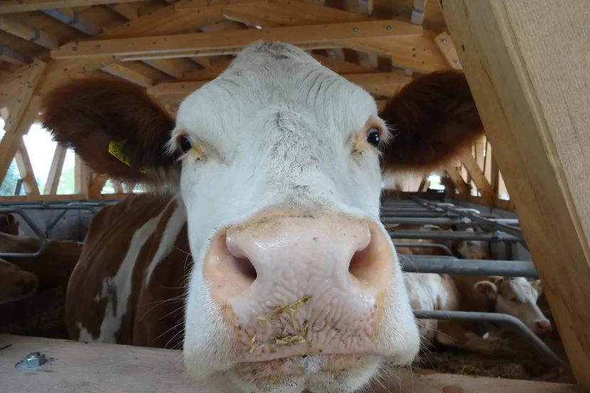 screenshot 20220907 120629