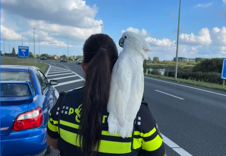 screenshot 20220911 131823