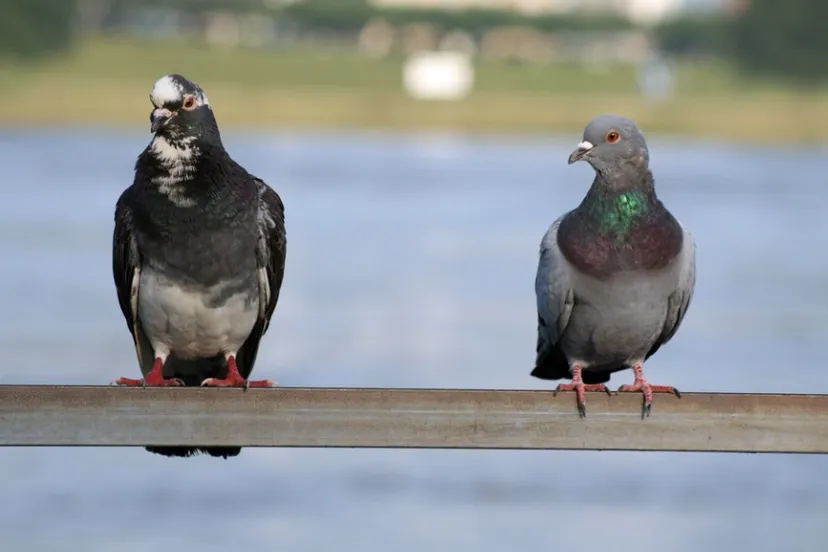 screenshot 20220914 092953