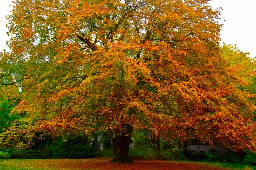 screenshot 20220914 100954