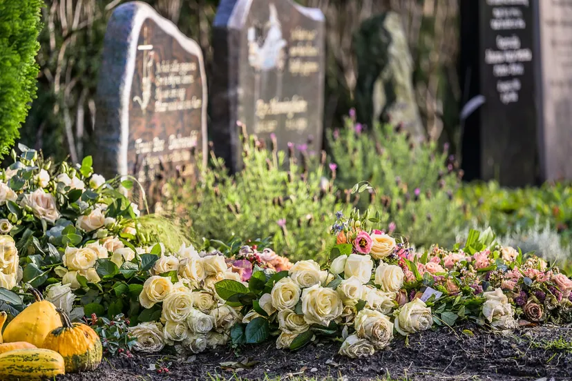 screenshot 20220915 170746