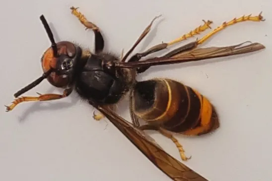 screenshot 20220916 120227