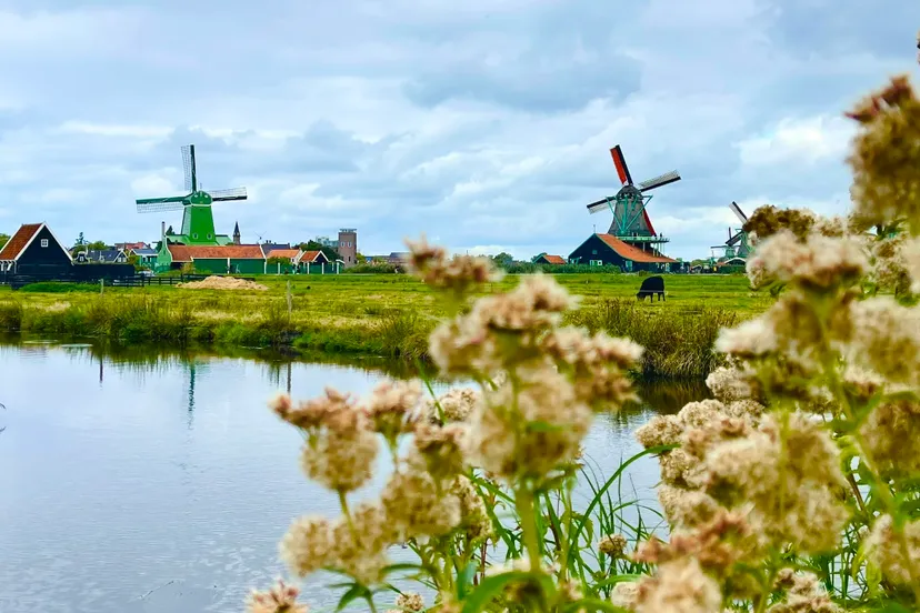 screenshot 20220919 090517