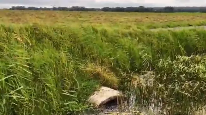 screenshot 20220921 111703