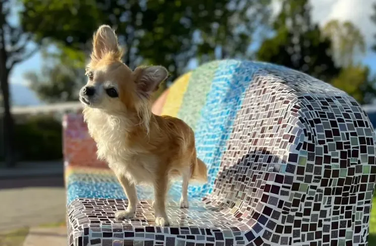 screenshot 20220922 140933