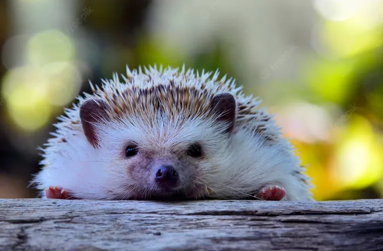 screenshot 20220923 165122