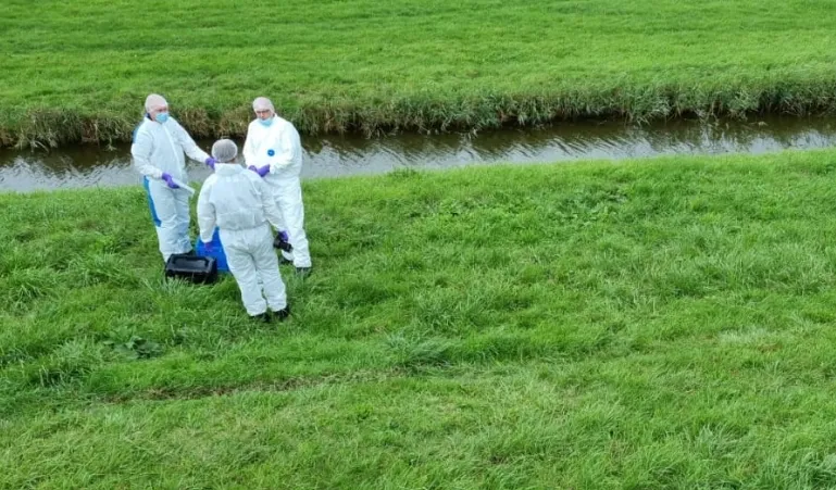 screenshot 20220924 152409