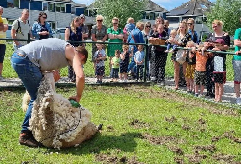 screenshot 20220925 111107