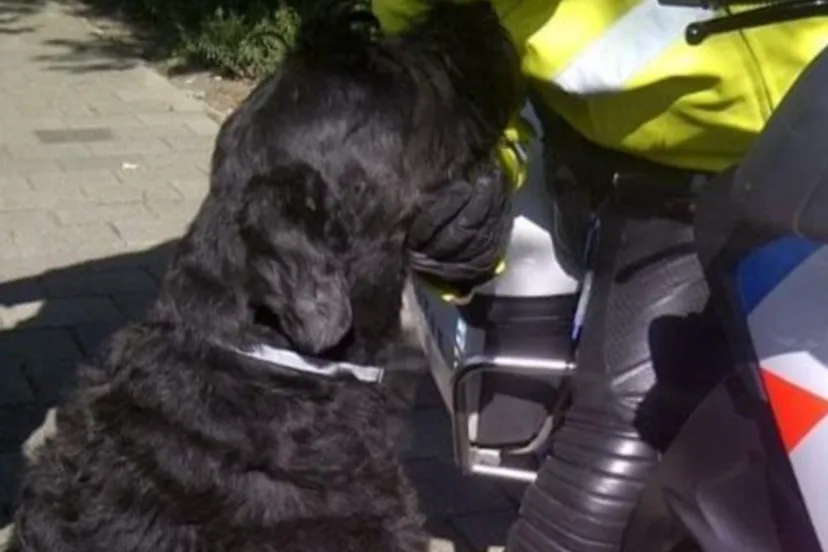 screenshot 20220926 163955