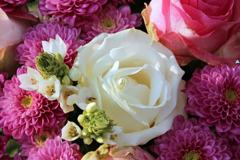 screenshot 20220928 120518