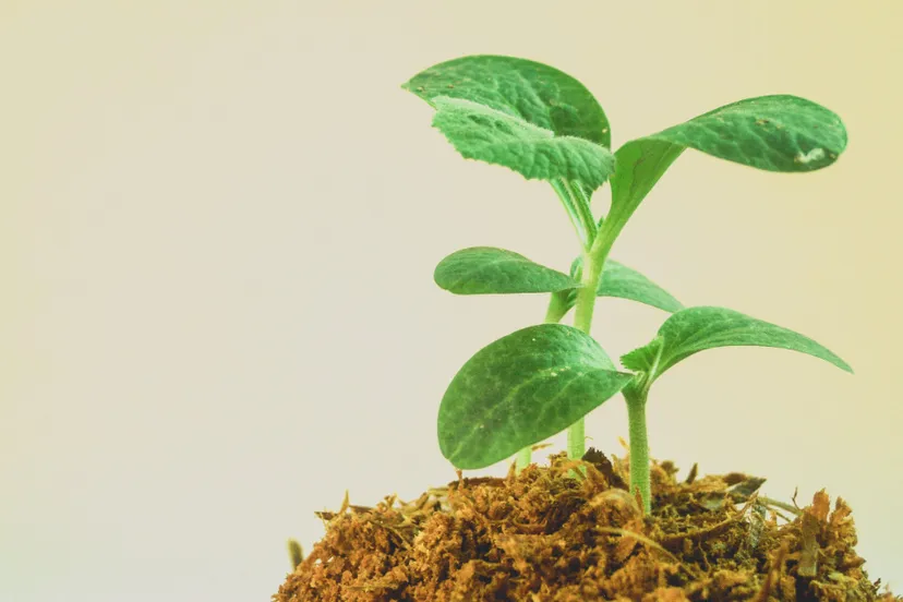 screenshot 20220929 125906