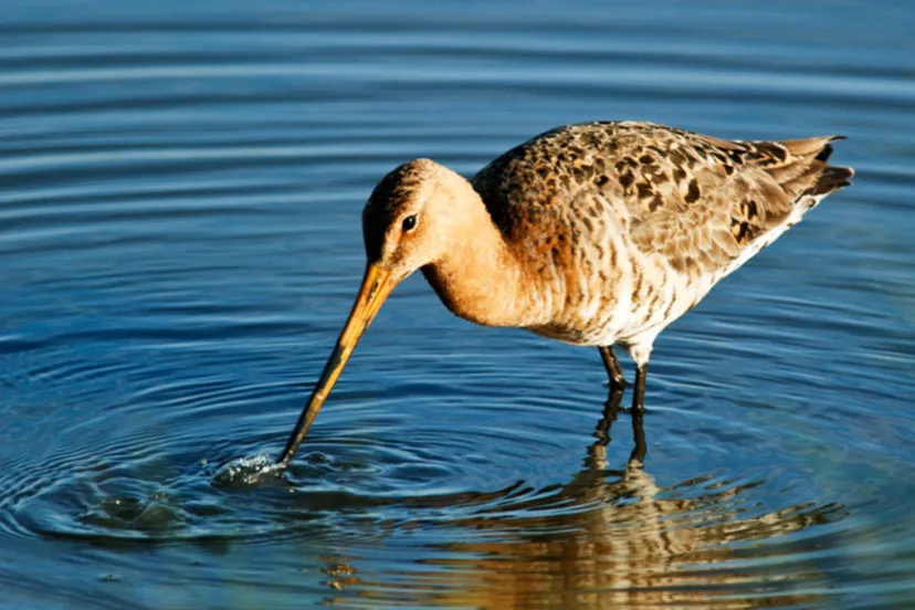 screenshot 20220930 102351