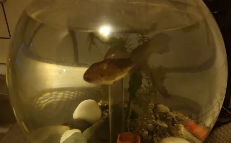 screenshot 20221002 112420