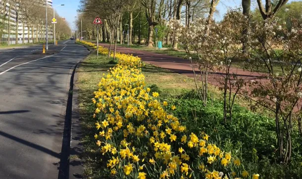 screenshot 20221024 131414