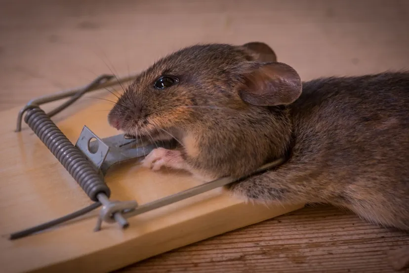 screenshot 20221101 131815