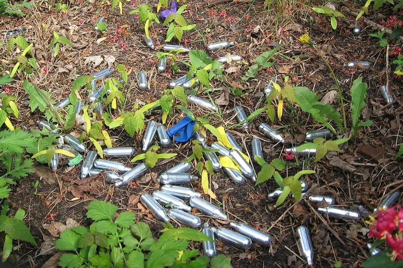 screenshot 20221115 104923