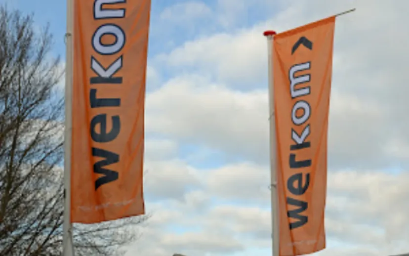 screenshot 20221119 114306 915x518 1