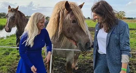 screenshot 20221125 132433