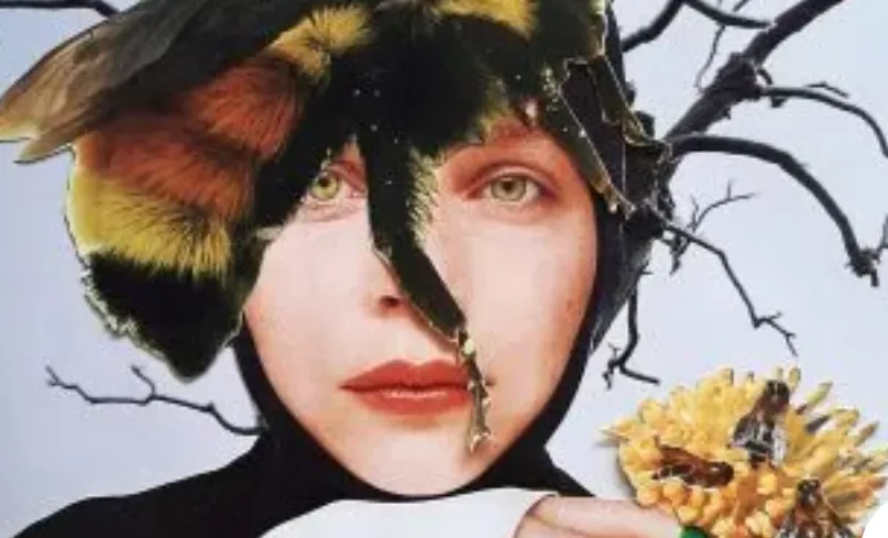 screenshot 20221129 121123