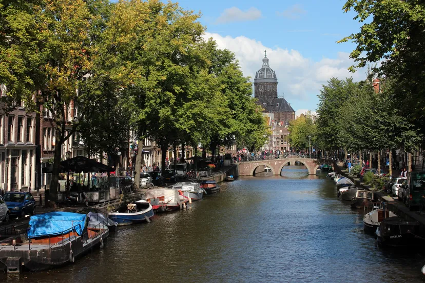 screenshot 20221129 155659