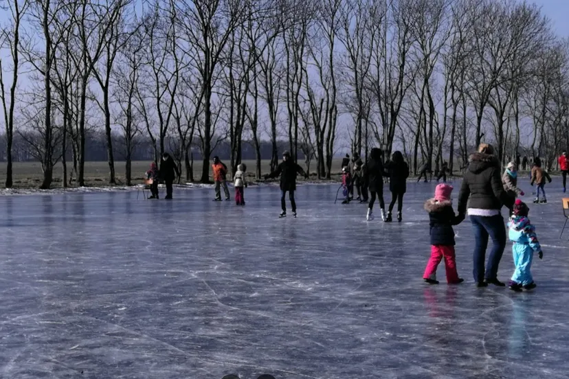 screenshot 20221210 101047