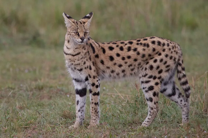 screenshot 20221212 104940