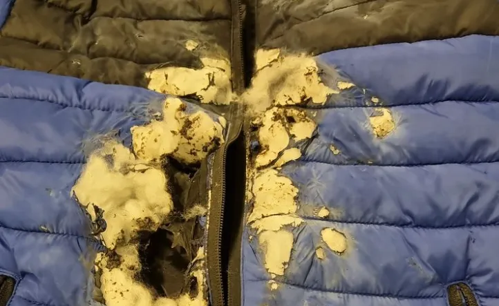 screenshot 20221212 172050