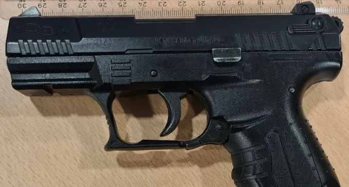 screenshot 20221213 124751