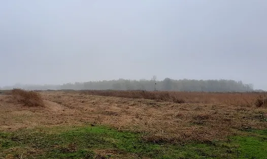 screenshot 20221213 171723