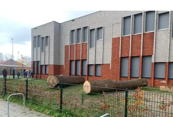 screenshot 20221216 124127