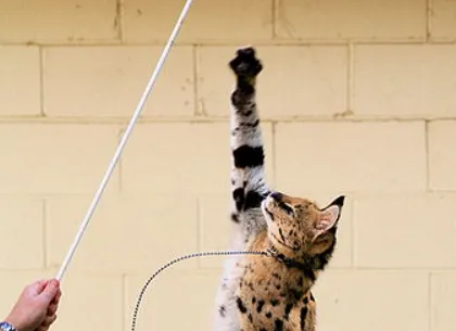 screenshot 20221217 105052