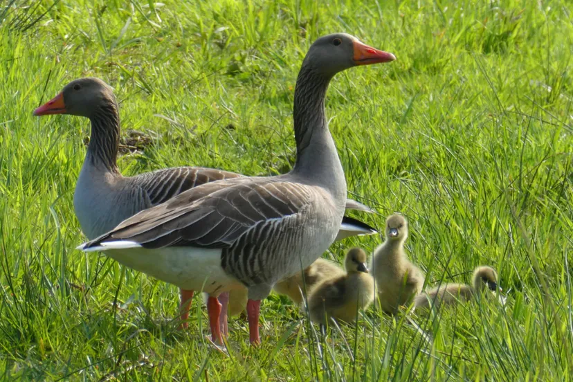 screenshot 20221221 133538